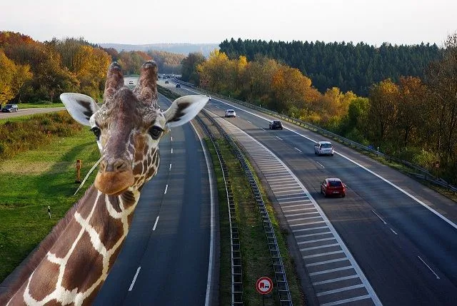 Ein Autofahrer bezahlt die Autobahngebühren an einer Mautstelle auf einer deutschen Autobahn